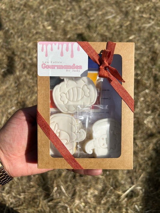 kit biscuits à peindre composeé de 4 biscuits en forme de citrouille, une plaquette de peinture alimentaire, un pinceau jetable et une fiche conseil. le tout dans une boite kraft décoré d'un ruban marron.